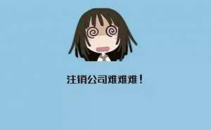 无为家政企业注销流程有哪些