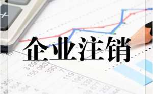 芜湖繁昌区注销公司流程有哪些